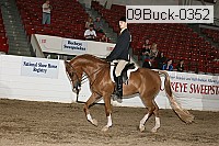 09buck-0352 proof