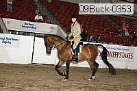 09buck-0353 proof