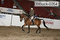 09buck-0354 proof