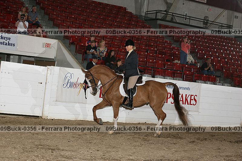 Proof 09buck-0356