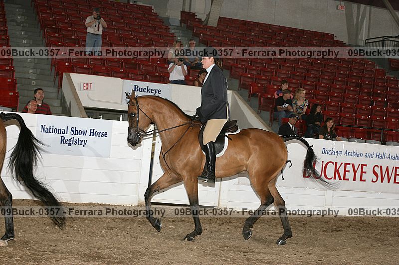 Proof 09buck-0357