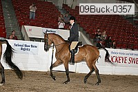 09buck-0357 proof