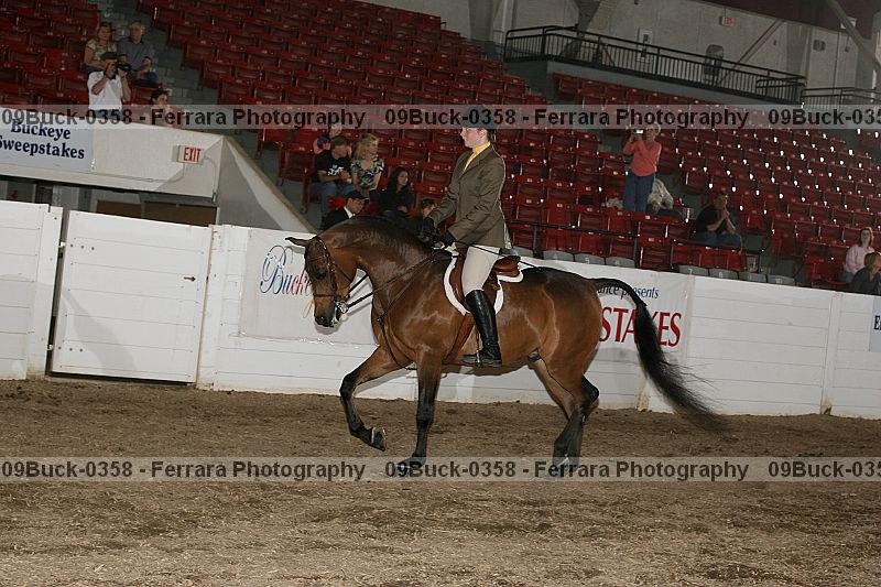 Proof 09buck-0358