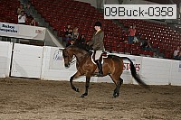09buck-0358 proof