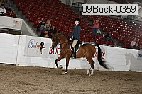09buck-0359 proof