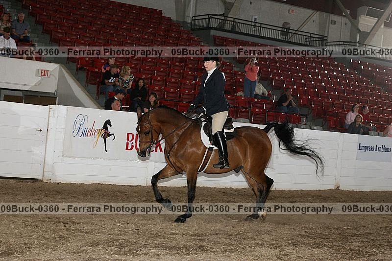 Proof 09buck-0360
