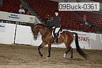 09buck-0361 proof