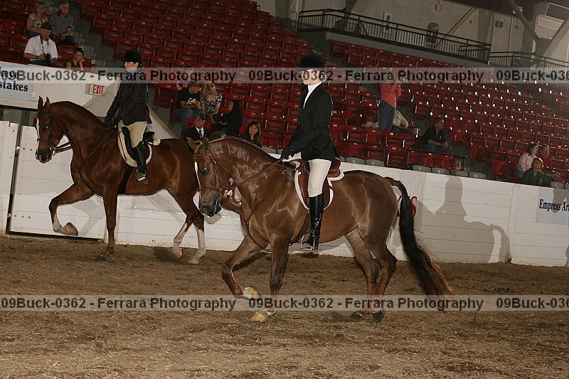 Proof 09buck-0362