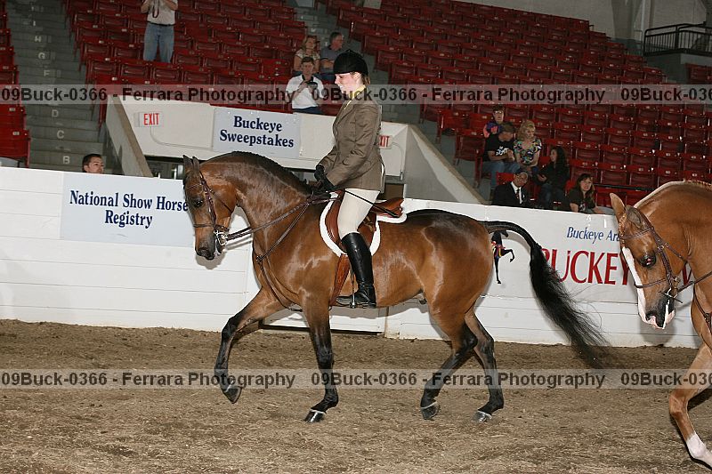 Proof 09buck-0366