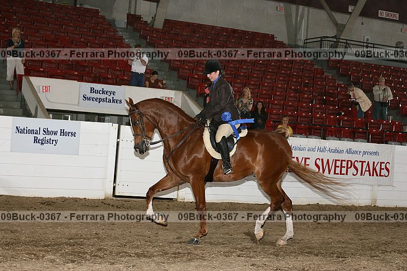 Proof 09buck-0367