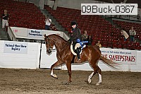 09buck-0367 proof