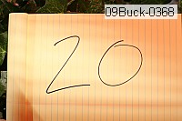 09buck-0368 proof