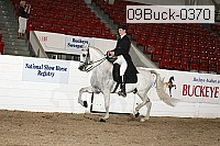 09buck-0370 proof