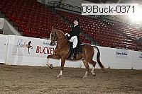 09buck-0371 proof