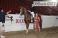 09buck-0372 proof