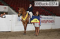 09buck-0374 proof