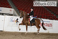 09buck-0376 proof
