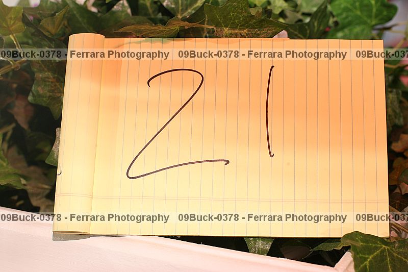 Proof 09buck-0378
