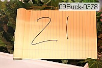 09buck-0378 proof