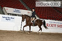 09buck-0380 proof