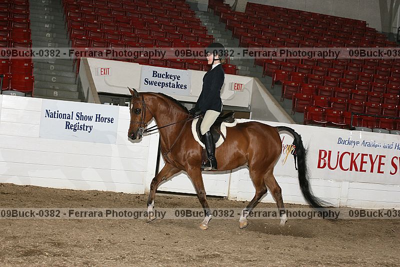 Proof 09buck-0382