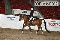 09buck-0382 proof