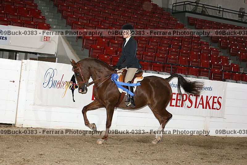 Proof 09buck-0383