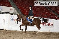 09buck-0383 proof