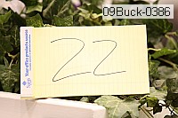 09buck-0386 proof