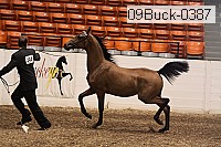 09buck-0387 proof
