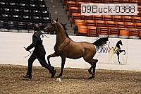 09buck-0388 proof
