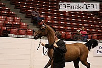 09buck-0391 proof
