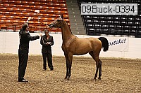 09buck-0394 proof