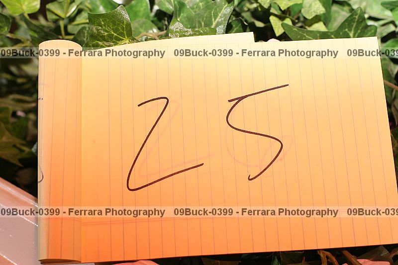 Proof 09buck-0399