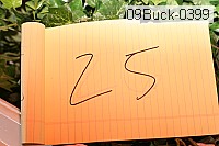 09buck-0399 proof