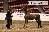 09buck-0402 proof