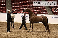 09buck-0404 proof