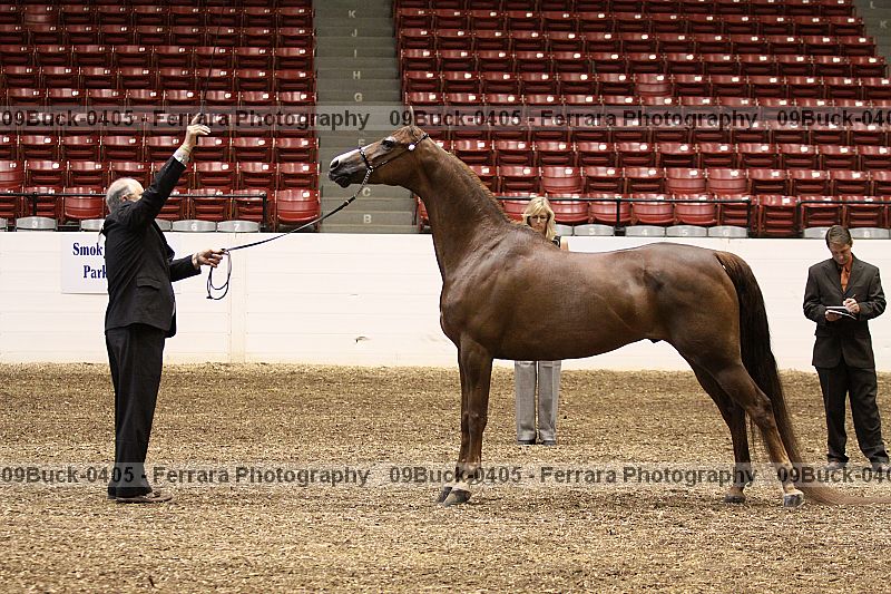 Proof 09buck-0405