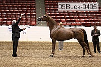 09buck-0405 proof
