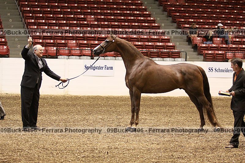 Proof 09buck-0406