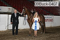 09buck-0407 proof