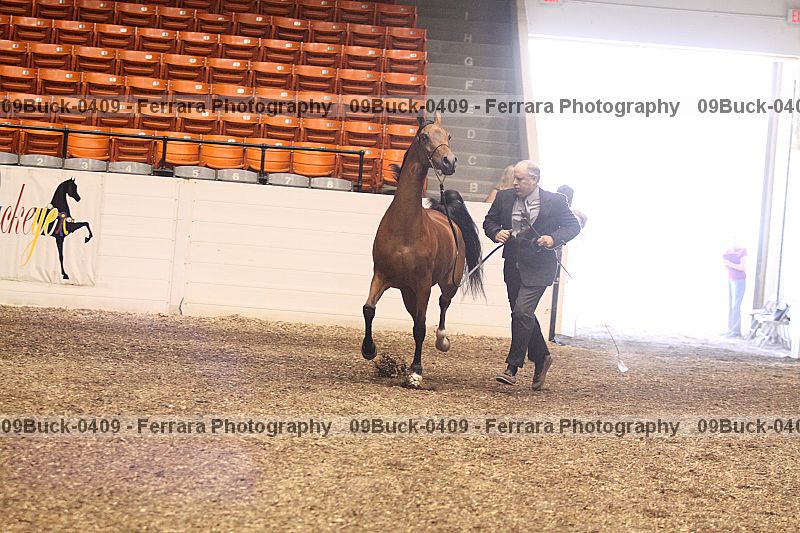 Proof 09buck-0409
