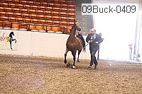 09buck-0409 proof