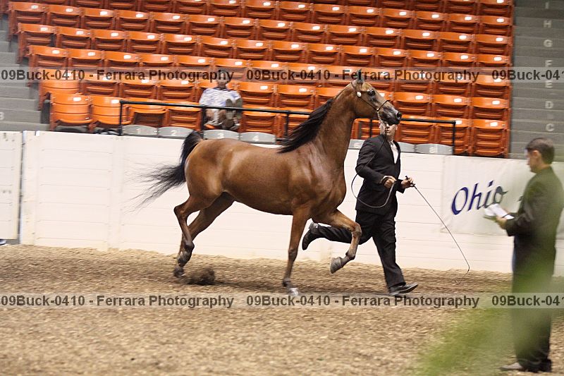 Proof 09buck-0410
