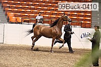 09buck-0410 proof