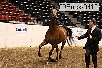 09buck-0412 proof