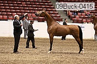 09buck-0415 proof