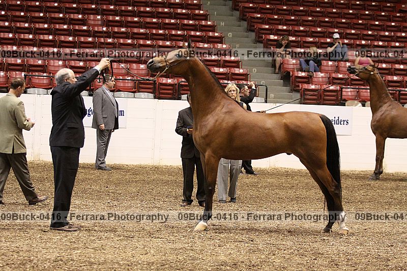 Proof 09buck-0416