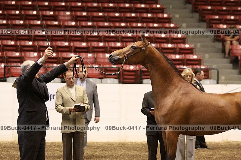 Proof 09buck-0417
