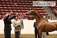 09buck-0417 proof